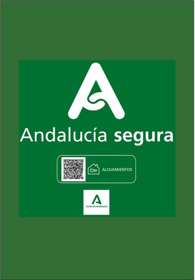 Holidays2Malaga Victoria High Speed Wifi Exterior foto